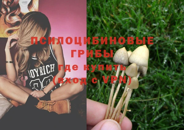Альфа ПВП Волосово