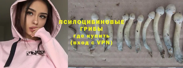 не бодяженный Волоколамск