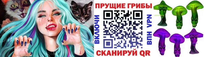 Псилоцибиновые грибы прущие грибы  Купить где  Великие Луки 